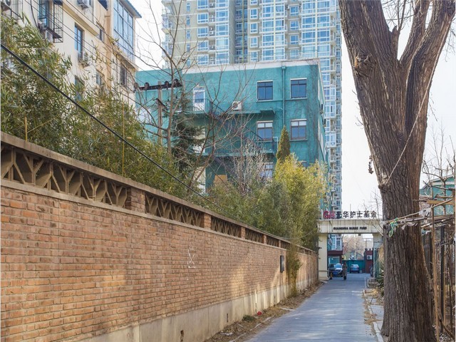 信阳钢板桩工字钢租赁价格